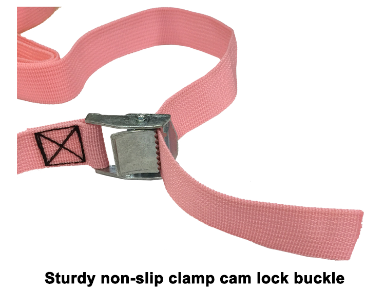 screed cargo double printed webbing strap tie down strap for Moving Appliances, Lawn Equipment, Motorcycle